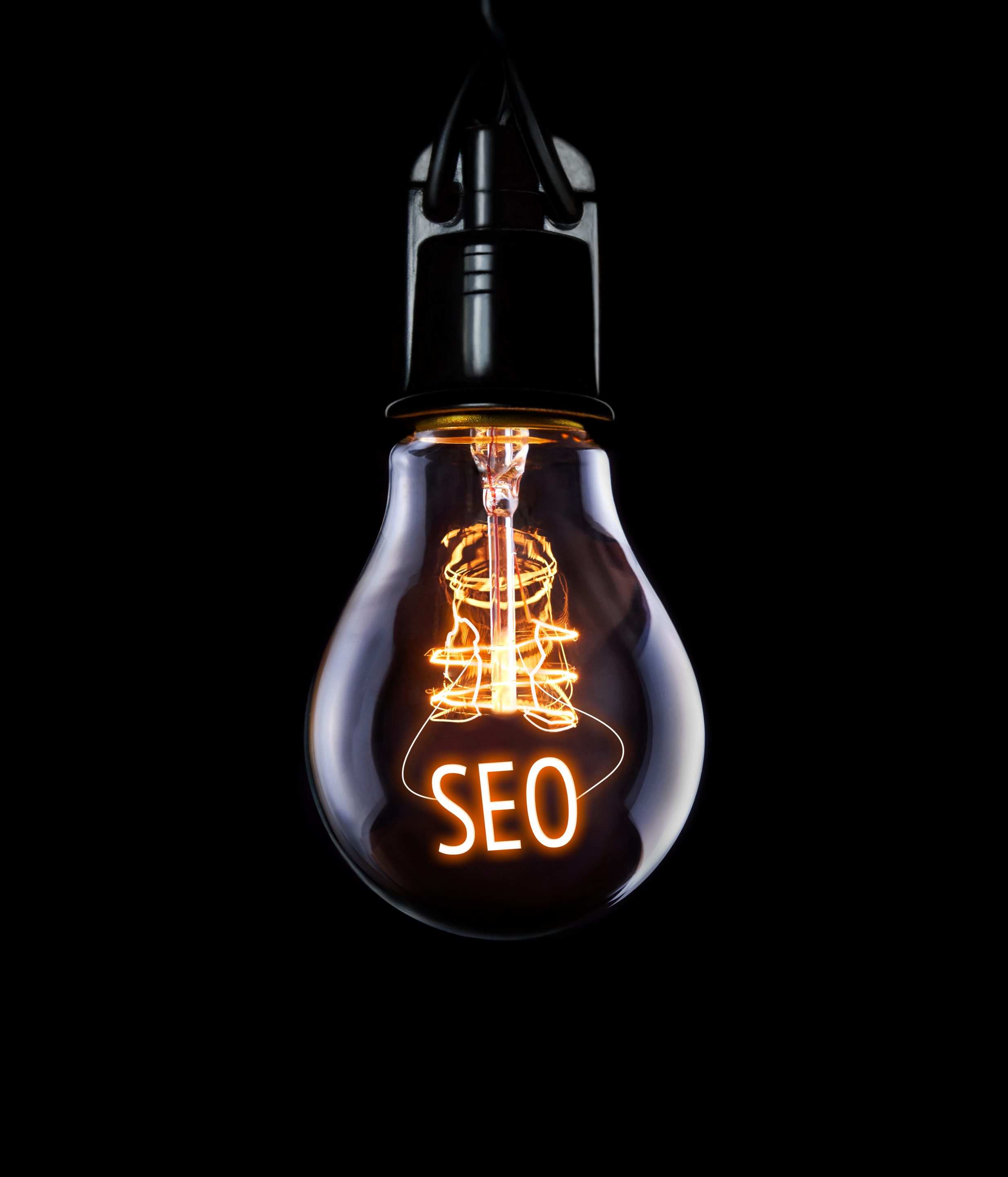 Guide to Local Search Marketing Strategy SEO lightbulb